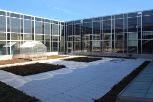 The sun beats down on the third floor garden greenhouse during school. Science teachers Regina Lynch, Kyle Lockos, Jeanette Hencken and Marty Walter all have classrooms that face the garden. Photo by Jack Killeen 